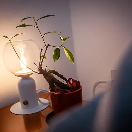 La Vie De Boheme Nocleg ze śniadaniem Triest