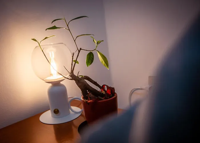 La Vie De Bohème Couette-café Trieste